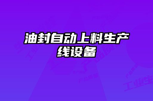 油封自動上料生產(chǎn)線設備